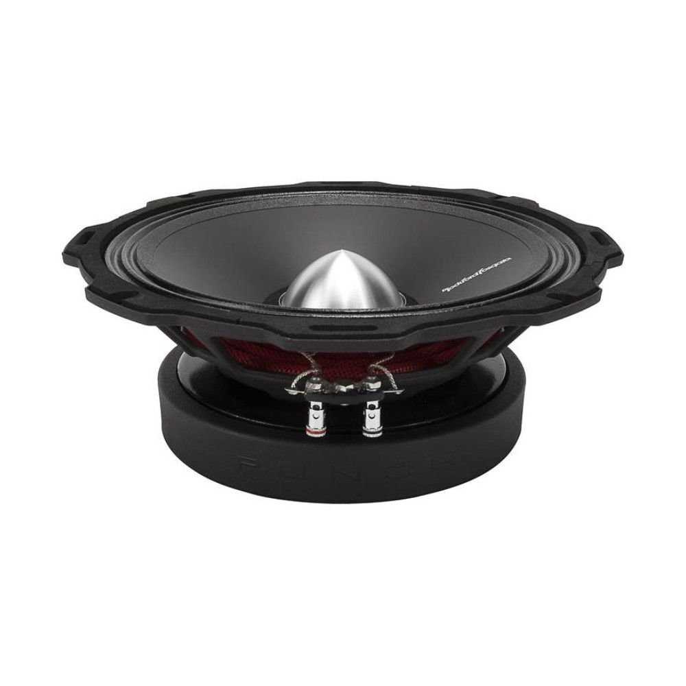 Rockford Fosgate PPS4-10