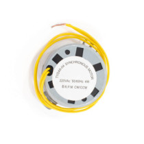 Thunder TYD-49 motor, 8 RPM, 230V
