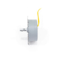 Thunder TYD-49 motor, 15 RPM, 230V