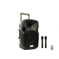 Thunder ACCU-12 (12") 600W...