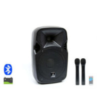 Thunder ACCU-08 300W...