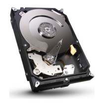 Partizan Hard disk for DVR/NVR 1TB (ST1000DM003)