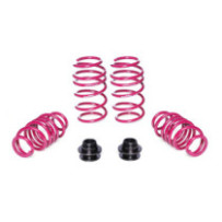 Vogtland VW Golf VIII, type...