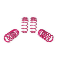 Vogtland Audi S5, type B9...