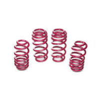 Vogtland Audi A6, type 4F,...