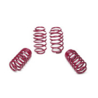 Vogtland Audi TT, type 8J,...