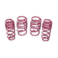 Vogtland Audi TT, type 8J...