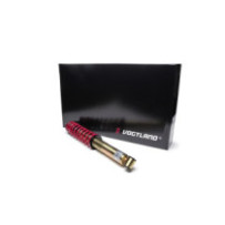 Vogtland Seat Exeo, type...