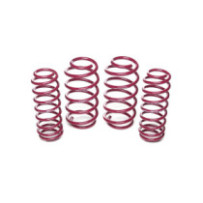 Vogtland Seat Ibiza, type...