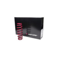 Vogtland Seat Ibiza,...