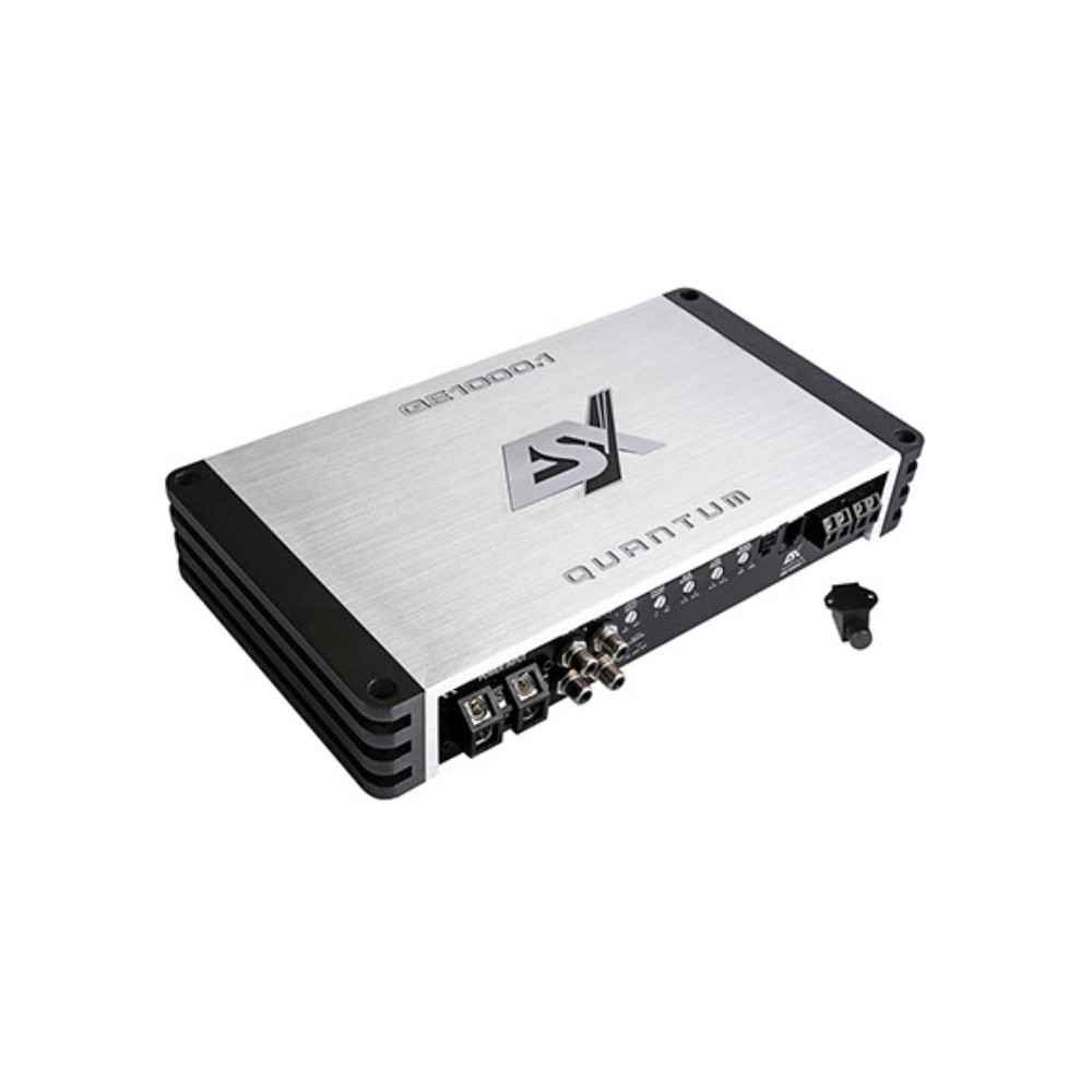 ESX QUANTUM QE1000.1
