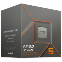 CPU-AMD Ryzen5 8500G Box