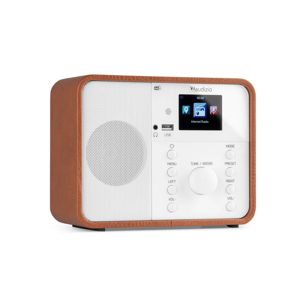 Audizio Livorno Internetrádióadapter (WiFi, DAB+)