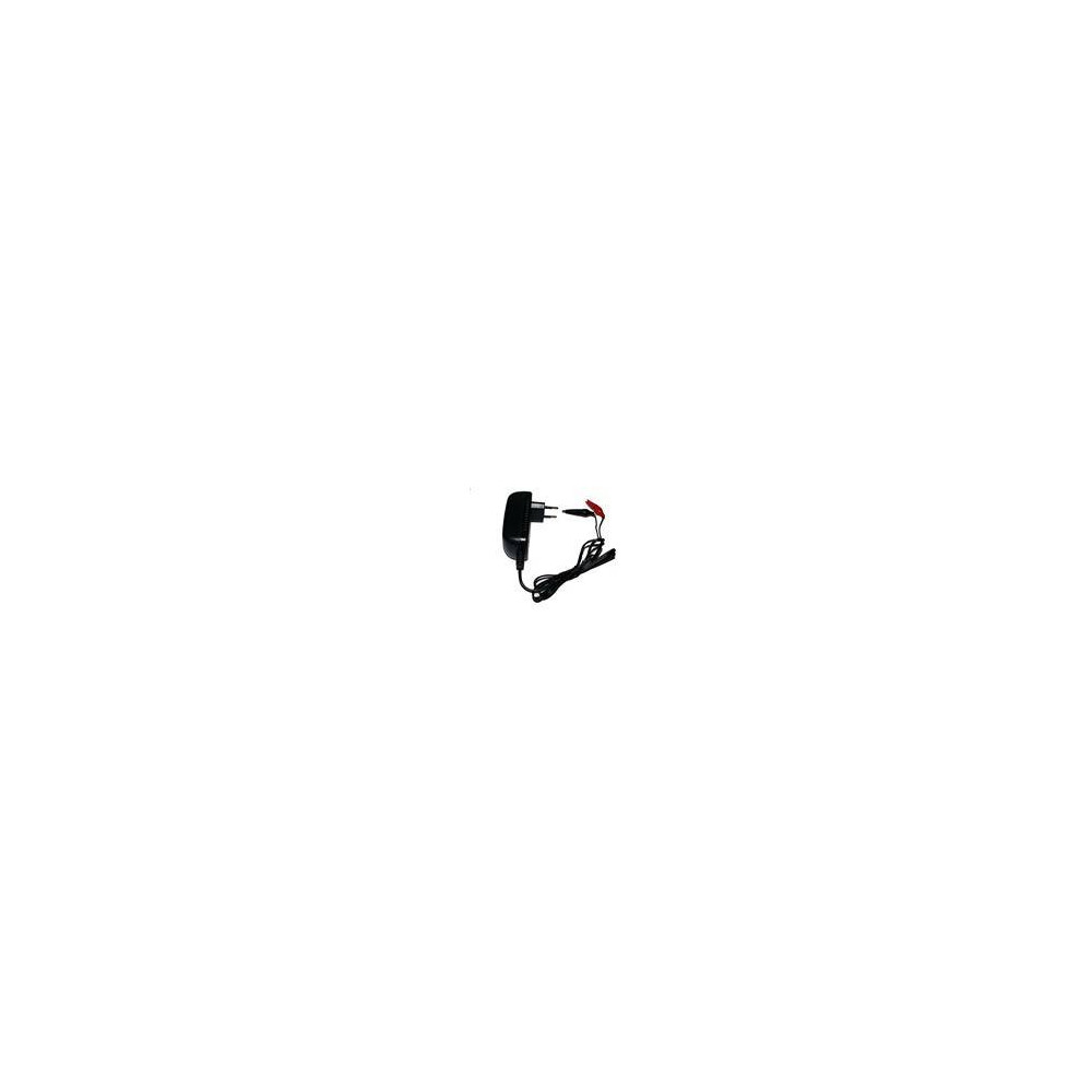 Forex 12V 1A akkutöltő