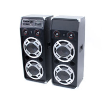 ReVoLuTioN DPX-210 2x800W (2x 10") aktív karaoke hangfal (FM + MP3 + Bluetooth)