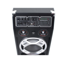 ReVoLuTioN DPX-210-LED 2x800W (2x 10") aktív karaoke hangfal (FM + MP3 + Bluetooth)