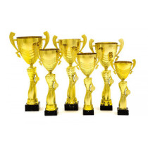 Bajnoksági Licenc 2026 - Két kategóriára