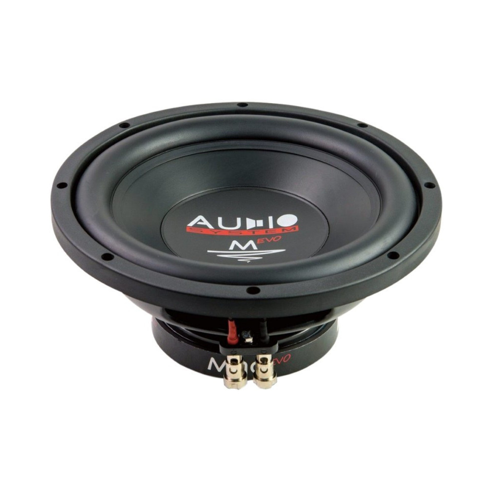 AUDIO SYSTEM M 10 EVO