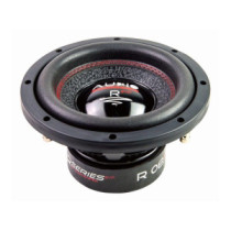 Audio system R12 EVO